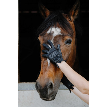 Handschuhe Je t'aime Equithème Strass Schwarz