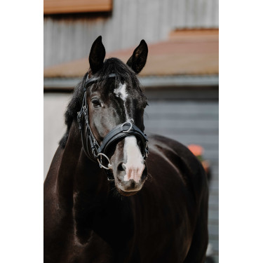 Breites Caveçon Norton Schwarz Breites Caveçon Norton Schwarz