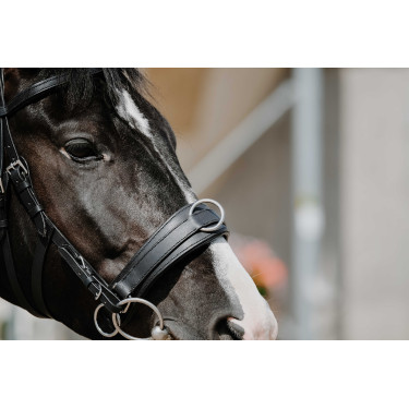 Breites Caveçon Norton Schwarz Breites Caveçon Norton Schwarz