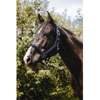 Nylonhalfter Equithème Protector Grün Gr&amp;amp;amp;amp;amp;amp;amp;amp;uuml;n