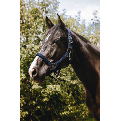 Nylonhalfter Equithème Protector Marine Marineblau Nylonhalfter Equithème Protector Marine Marineblau