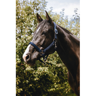 Nylonhalfter Equithème Protector Grün Gr&amp;amp;amp;amp;amp;amp;amp;amp;uuml;n