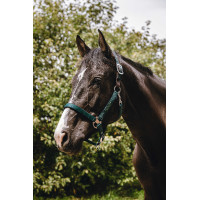 Nylonhalfter Equithème Protector Grün Gr&uuml;n