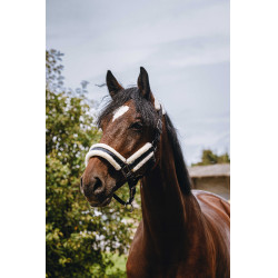 Nylonhalfter Equithème Fashion Schwarz