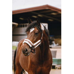 Nylonhalfter Equithème Fashion Braun