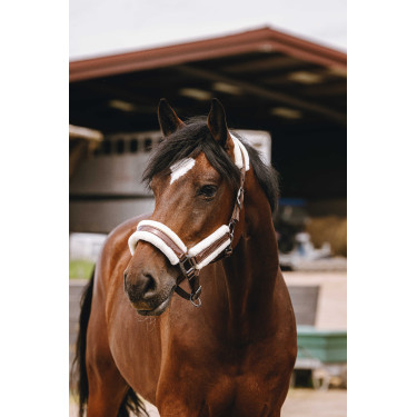 Nylonhalfter Equithème Fashion Braun