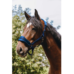 Nylonhalfter Equithème 3D Mesh Königsblau