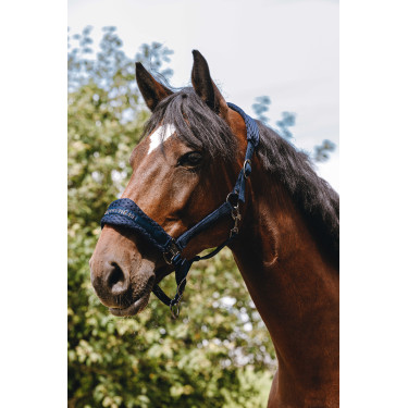 Nylonhalfter Equithème 3D Mesh Marine Marineblau