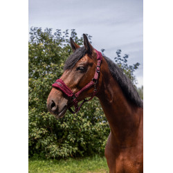 Nylonhalfter Equithème 3D Mesh Bordeaux