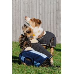 Hundedecke Equithème New Market Marine Marineblau