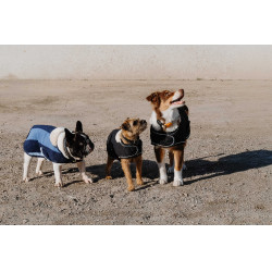 Hundedecke Equithème New Market Marine Marineblau