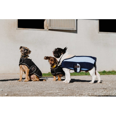 Hundedecke Equithème New Market Marine Marineblau Hundedecke Equithème New Market Marine Marineblau