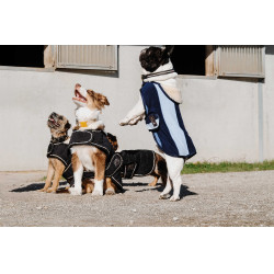 Hundedecke Equithème New Market Marine Marineblau
