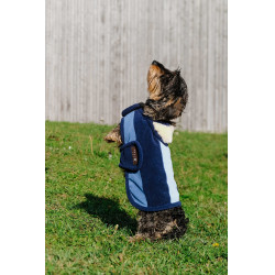 Hundedecke Equithème New Market Marine Marineblau
