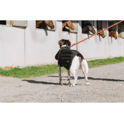 Hundedecke Equithème Softshell Schwarz