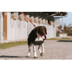 Hundedecke Equithème Softshell Schwarz