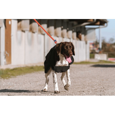 Hundedecke Equithème Softshell Schwarz