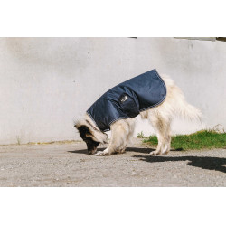 Hundedecke Equithème TYREX 600D Blau / Grau