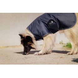 Hundedecke Equithème TYREX 600D Blau / Grau