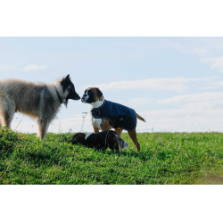 Hundedecke Equithème TYREX 600D Blau / Grau
