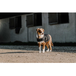 Hundedecke Ich liebe dich Equithème Schwarz Hundedecke Ich liebe dich Equithème Schwarz