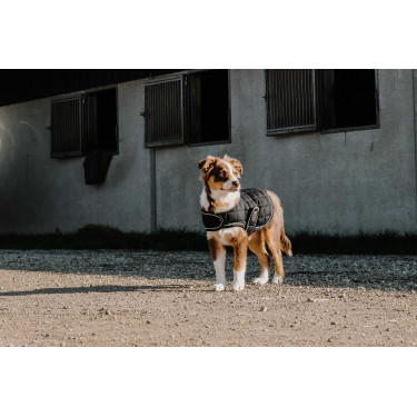 Hundedecke Ich liebe dich Equithème Schwarz Hundedecke Ich liebe dich Equithème Schwarz