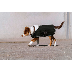 Hundedecke Ich liebe dich Equithème Schwarz Hundedecke Ich liebe dich Equithème Schwarz