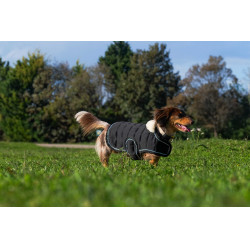 Hundedecke Ich liebe dich Equithème Schwarz Hundedecke Ich liebe dich Equithème Schwarz