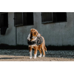 Hundedecke Ich liebe dich Equithème Schwarz Hundedecke Ich liebe dich Equithème Schwarz