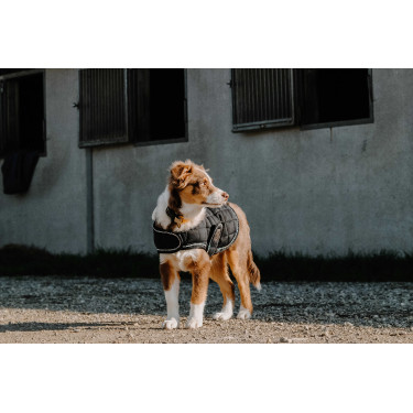 Hundedecke Ich liebe dich Equithème Schwarz Hundedecke Ich liebe dich Equithème Schwarz