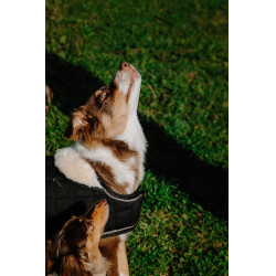 Hundedecke Ich liebe dich Equithème Schwarz Hundedecke Ich liebe dich Equithème Schwarz