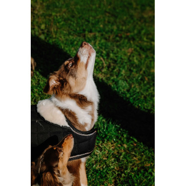 Hundedecke Ich liebe dich Equithème Schwarz Hundedecke Ich liebe dich Equithème Schwarz