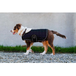 Hundedecke Ich liebe dich Equithème Schwarz Hundedecke Ich liebe dich Equithème Schwarz