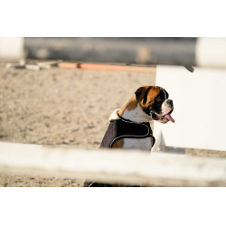 Hundedecke Ich liebe dich Equithème Schwarz Hundedecke Ich liebe dich Equithème Schwarz