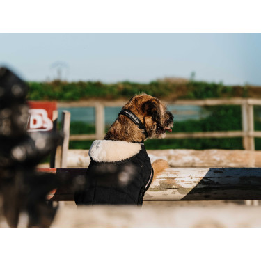 Hundedecke Ich liebe dich Equithème Schwarz Hundedecke Ich liebe dich Equithème Schwarz