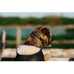 Hundedecke Ich liebe dich Equithème Schwarz Hundedecke Ich liebe dich Equithème Schwarz