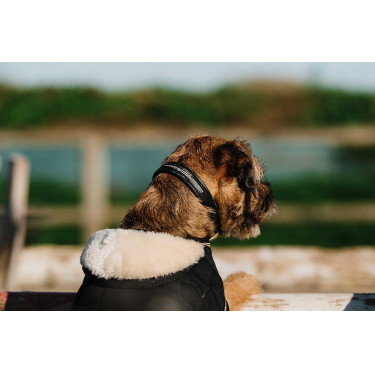 Hundedecke Ich liebe dich Equithème Schwarz Hundedecke Ich liebe dich Equithème Schwarz