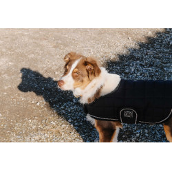 Hundedecke Ich liebe dich Equithème Schwarz Hundedecke Ich liebe dich Equithème Schwarz