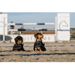 Hundedecke Ich liebe dich Equithème Schwarz Hundedecke Ich liebe dich Equithème Schwarz