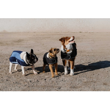 Hundedecke Ich liebe dich Equithème Schwarz Hundedecke Ich liebe dich Equithème Schwarz