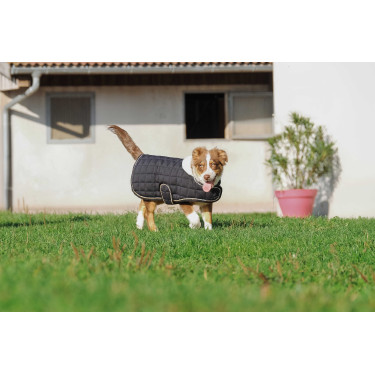 Hundedecke Ich liebe dich Equithème Schwarz Hundedecke Ich liebe dich Equithème Schwarz