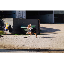 Hundedecke Ich liebe dich Equithème Schwarz Hundedecke Ich liebe dich Equithème Schwarz