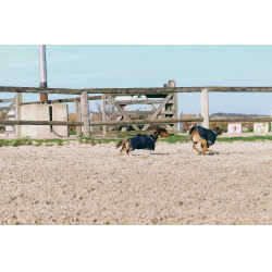 Hundedecke Equithème Eco 600D Marine Marineblau