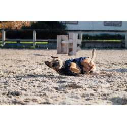 Fleece-Hundemantel Equithème Marine Marineblau Fleece-Hundemantel Equithème Marine Marineblau