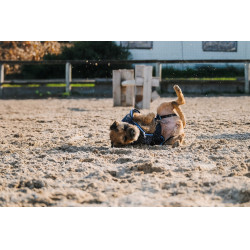 Fleece-Hundemantel Equithème Marine Marineblau Fleece-Hundemantel Equithème Marine Marineblau