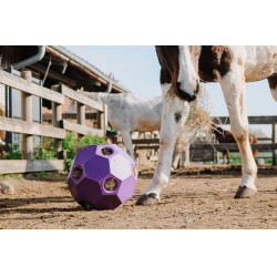Anti-Schling-Ball für Heu HIPPOTONIC Violett Lila Anti-Schling-Ball für Heu HIPPOTONIC Violett Lila