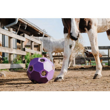 Anti-Schling-Ball für Heu HIPPOTONIC Violett Lila Anti-Schling-Ball für Heu HIPPOTONIC Violett Lila
