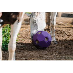 Anti-Schling-Ball für Heu HIPPOTONIC Violett Lila Anti-Schling-Ball für Heu HIPPOTONIC Violett Lila