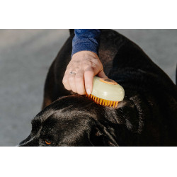 Hippotonic Dampf-Striegel Creme Beige Hippotonic Dampf-Striegel Creme Beige