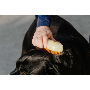 Hippotonic Dampf-Striegel Creme Beige Hippotonic Dampf-Striegel Creme Beige